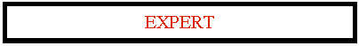 Casella di testo: EXPERT